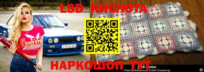 mdpv Новозыбков