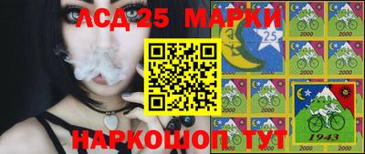 a pvp Новокубанск