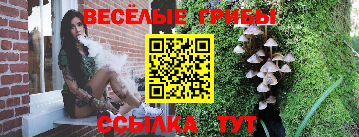 Псилоцибиновые грибы ЛСД  Вход с VPN  Санкт-Петербург 